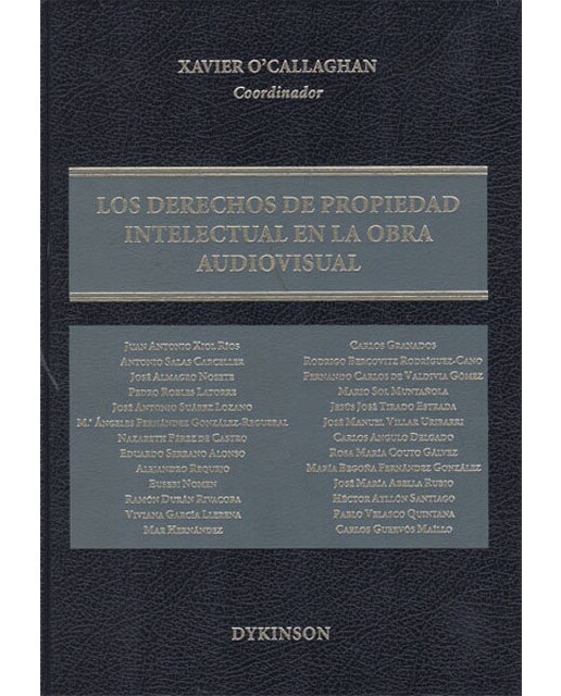 Los derechos de propiedad intelectual en la obra audiovisual(Tapa dura) 1