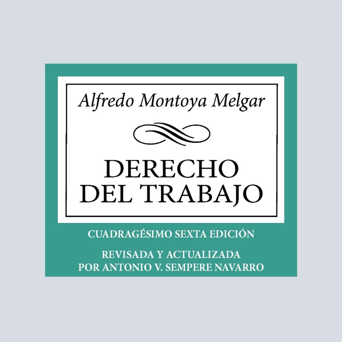 Imagem 0 de Derecho del Trabajo