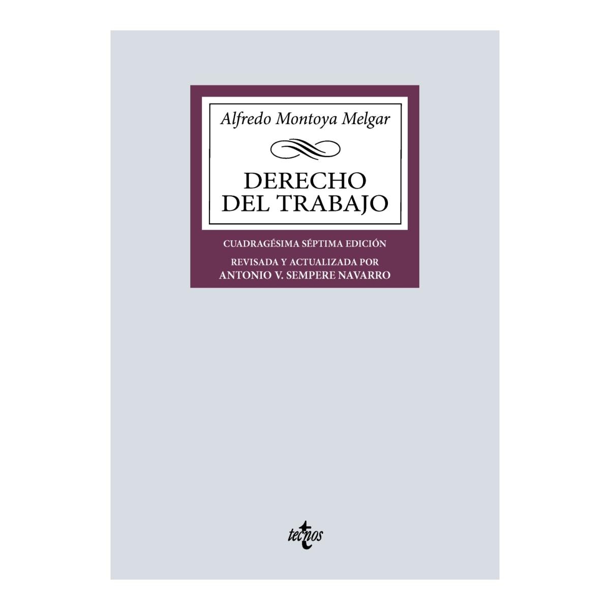 Imagem 0 de DERECHO DEL TRABAJO  (Capa Mole)