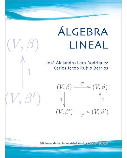 Álgebra lineal 1