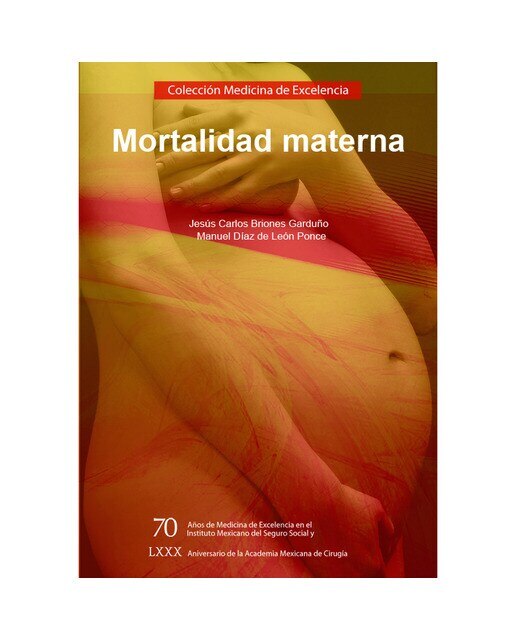 Mortalidad materna 1