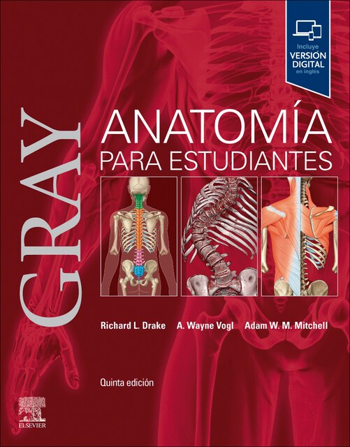 Imagen 0 de Gray. Anatomía para estudiantes (Tapa blanda)