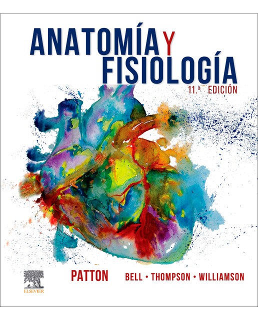 Anatomía y fisiología (Capa mole) 1