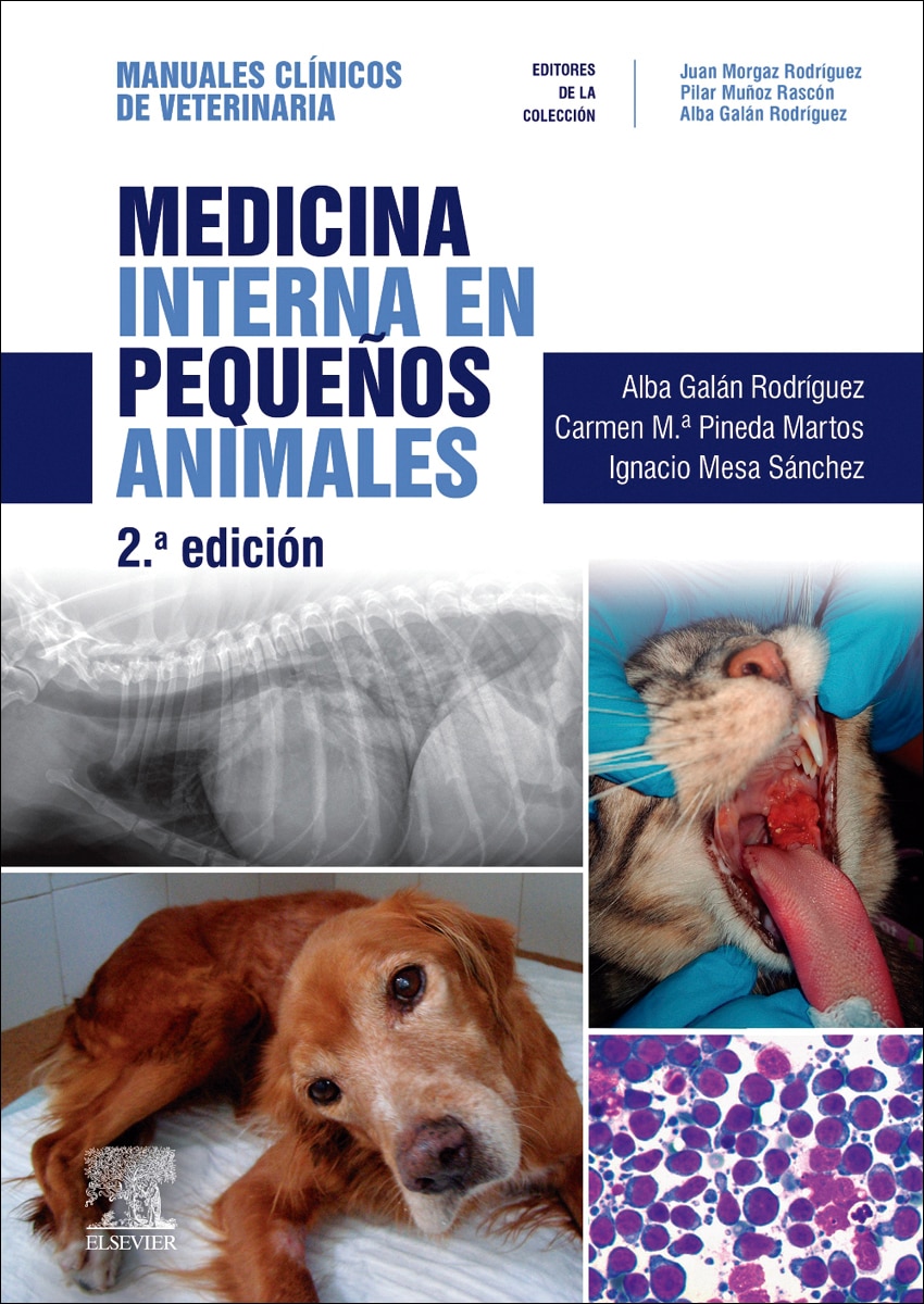 Imagem 0 de Medicina interna en pequeños animales: Manuales clínicos de Veterinaria (Capa mole)