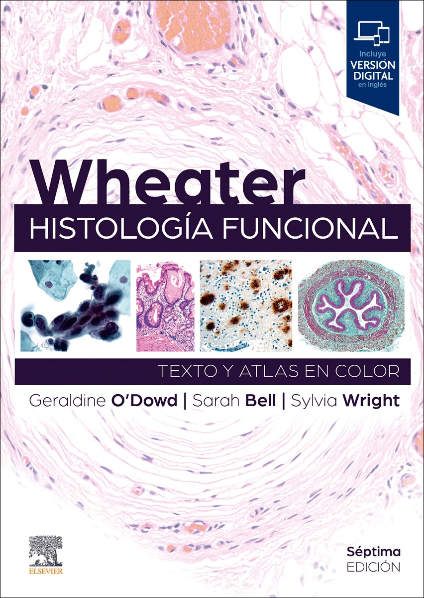 Wheater. Histología funcional: Texto y Atlas en color (Capa mole) 1
