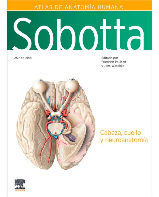 Imagem 0 de Sobotta. Atlas de anatomía humana. Vol 3: Cabeza, cuello y neuroanatomía (Capa dura)