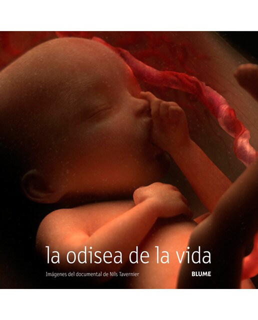 Odisea de la vida 1