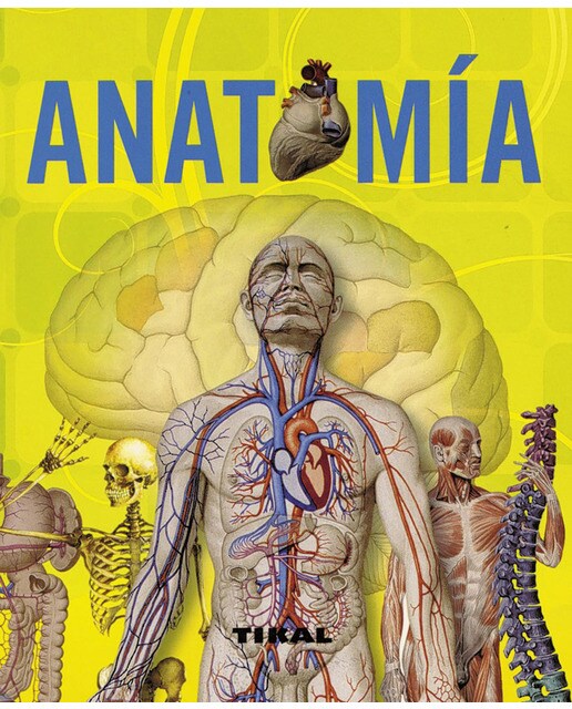 Imagen 0 de Anatomía (Tapa blanda)