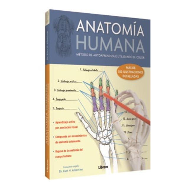 Imagen 1 de ANATOMIA HUMANA: METODO DE AUTOAPRENDIZAJE UTILIZANDO EL COLOR