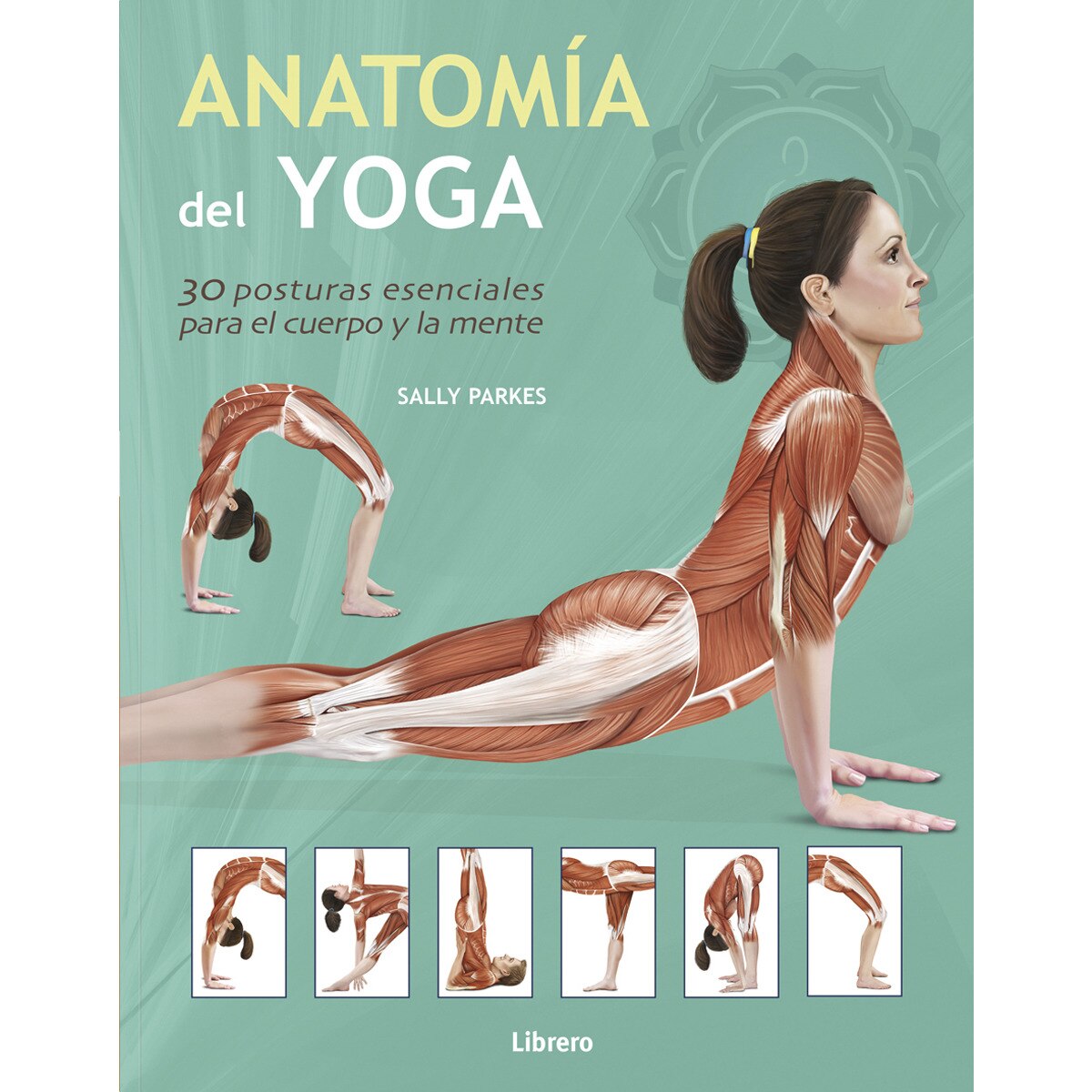 Imagen 0 de Anatom¡a del Yoga