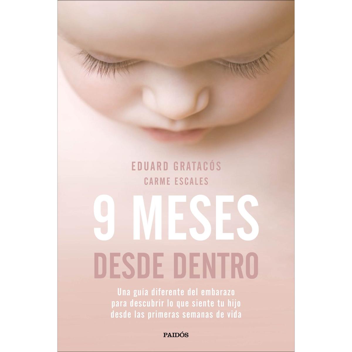 Imagen 0 de 9 meses desde dentro: Una guía diferente del embarazo para descubrir lo que siente tu hijo desde las primeras semanas de vi  (Tapa blanda con solapas)