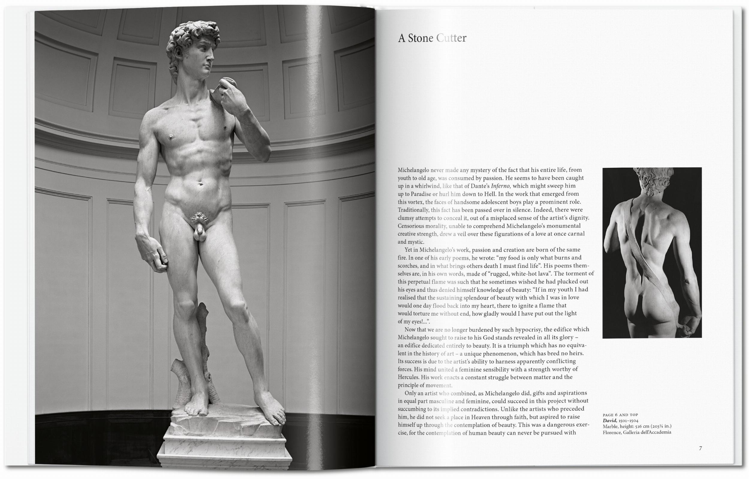 Miguel Ángel (Capa dura) 2