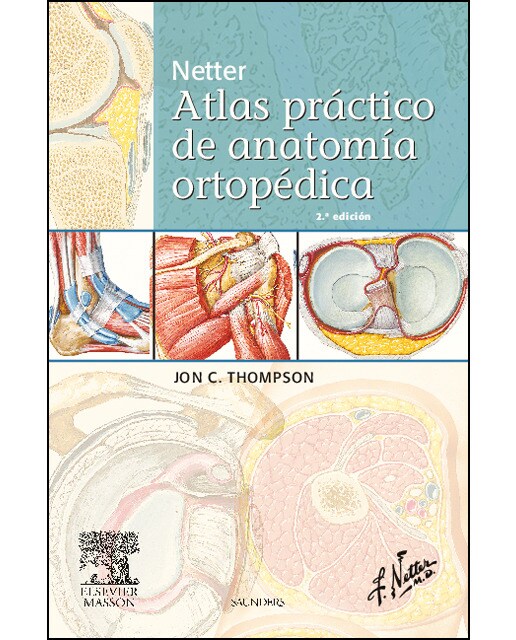 Netter. Atlas práctico de anatomía ortopédica