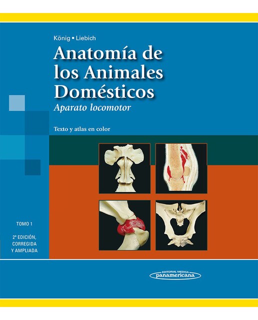 Imagen 0 de Anatomía de los Animales Domésticos T1  (Tapa blanda)