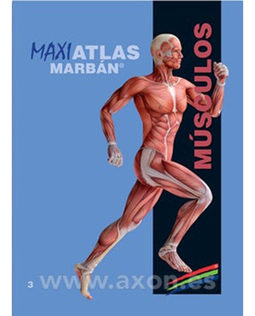 Imagen 0 de Musculos