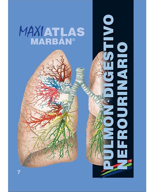Maxi atlas 6 pulmón-digestivo-nefrourinario