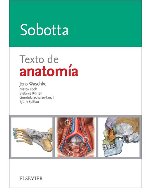 Imagen 0 de Sobotta. Texto de anatomía (Tapa blanda)