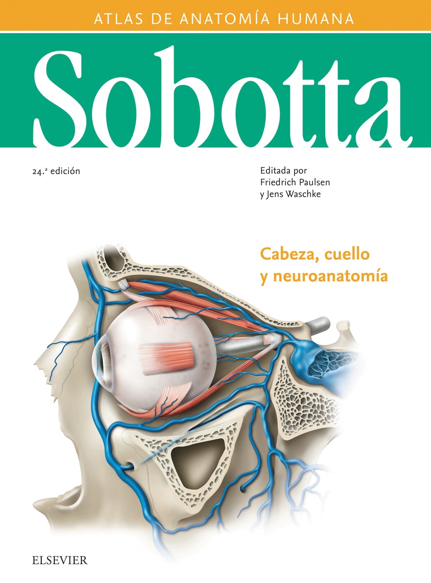 Sobotta. Atlas de anatomía humana vol 3: Cabeza, cuello y neuroanatomía (Capa dura) 1