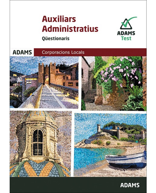Qüestionaris Auxiliars Administratius Corporacions Locals de Catalunya