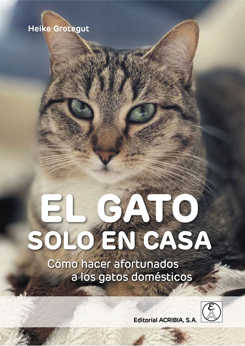El gato solo en casa: Cómo hacer afortunados a los gatos domésticos(Tapa blanda) 1