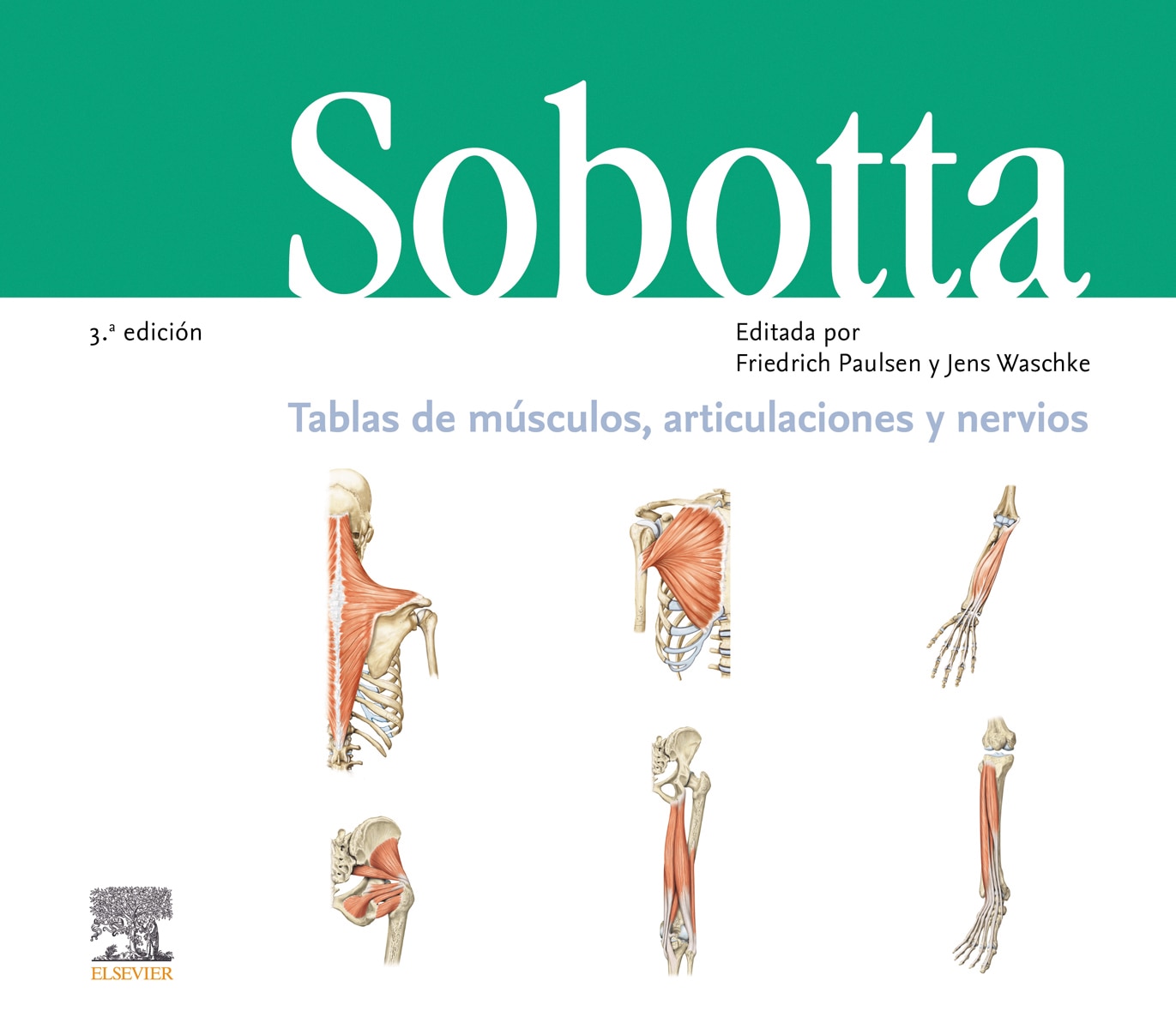 Sobotta. Tablas de músculos, articulaciones y nervios 1
