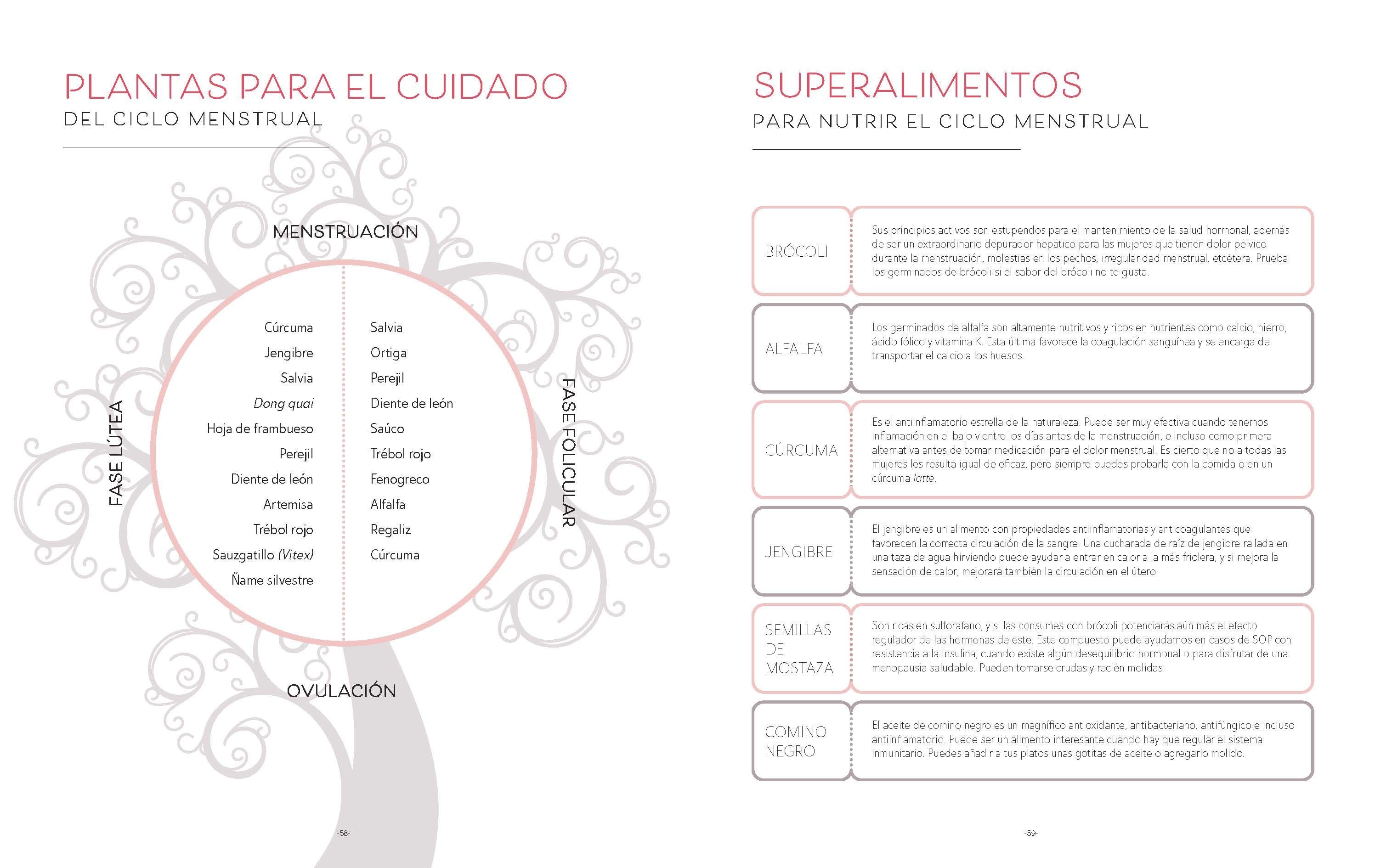 Imagen 4 de Alimentación y salud femenina: Cuida tus hormonas comiendo rico (Tapa dura)