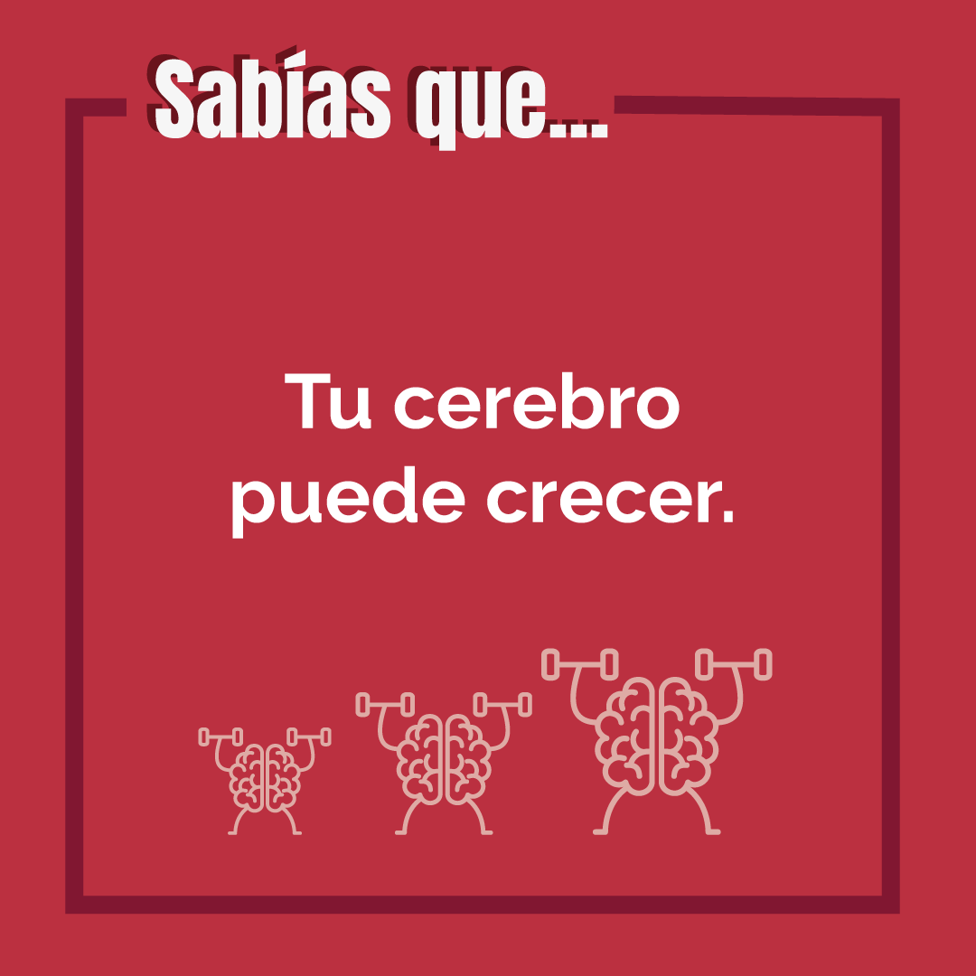 Saludable Mente (edición ampliada y actualizada): Hábitos para optimizar tu cerebro y mejorar tu salud a cualquier edad  (Tapa blanda) 2
