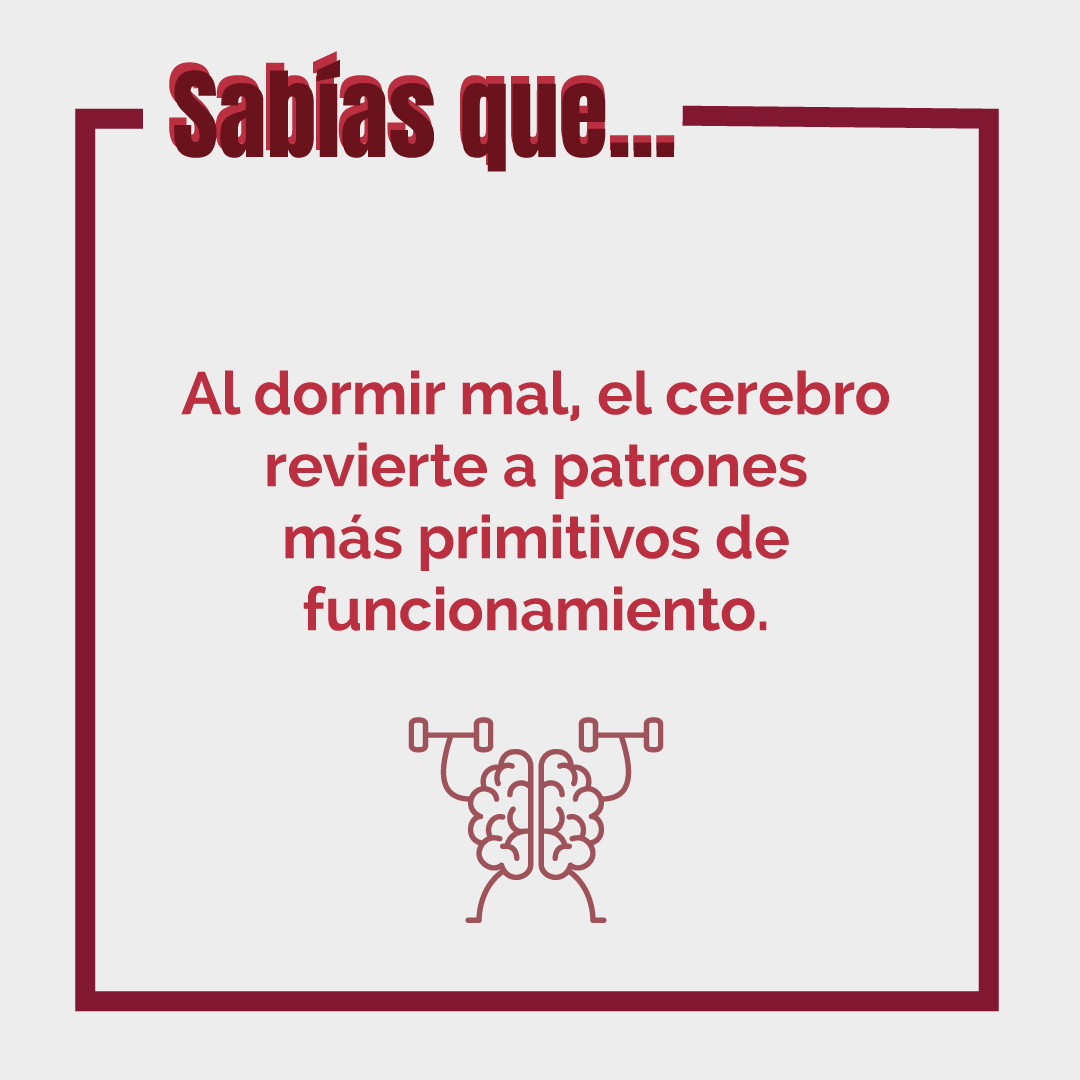 Saludable Mente (edición ampliada y actualizada): Hábitos para optimizar tu cerebro y mejorar tu salud a cualquier edad  (Tapa blanda) 4