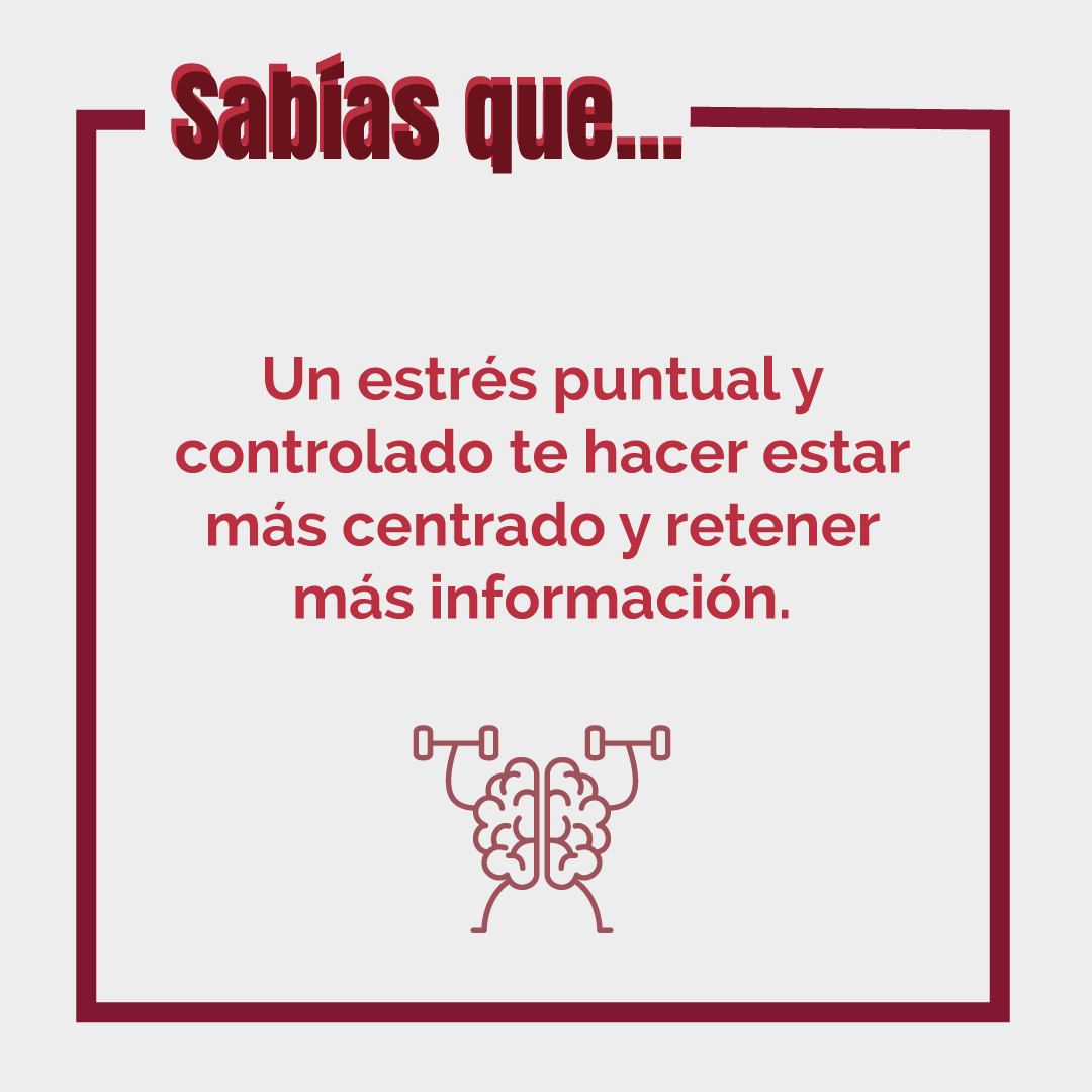Saludable Mente (edición ampliada y actualizada): Hábitos para optimizar tu cerebro y mejorar tu salud a cualquier edad  (Tapa blanda) 5