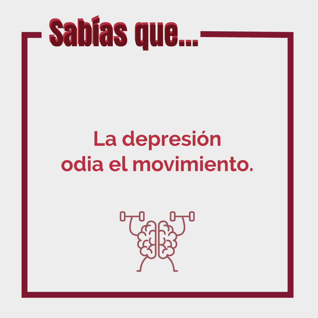 Saludable Mente (edición ampliada y actualizada): Hábitos para optimizar tu cerebro y mejorar tu salud a cualquier edad  (Tapa blanda) 6