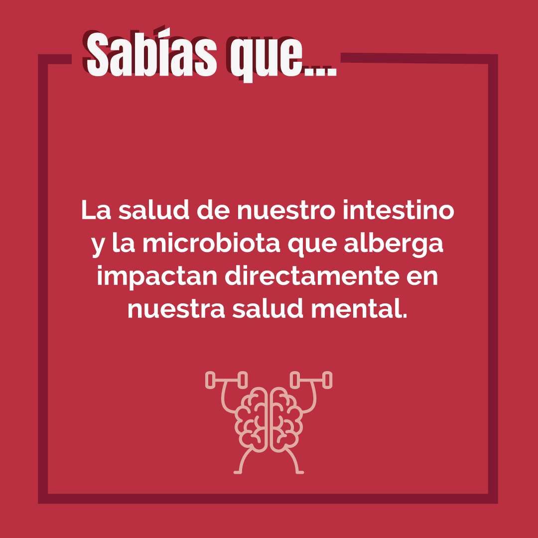 Saludable Mente (edición ampliada y actualizada): Hábitos para optimizar tu cerebro y mejorar tu salud a cualquier edad  (Tapa blanda) 7