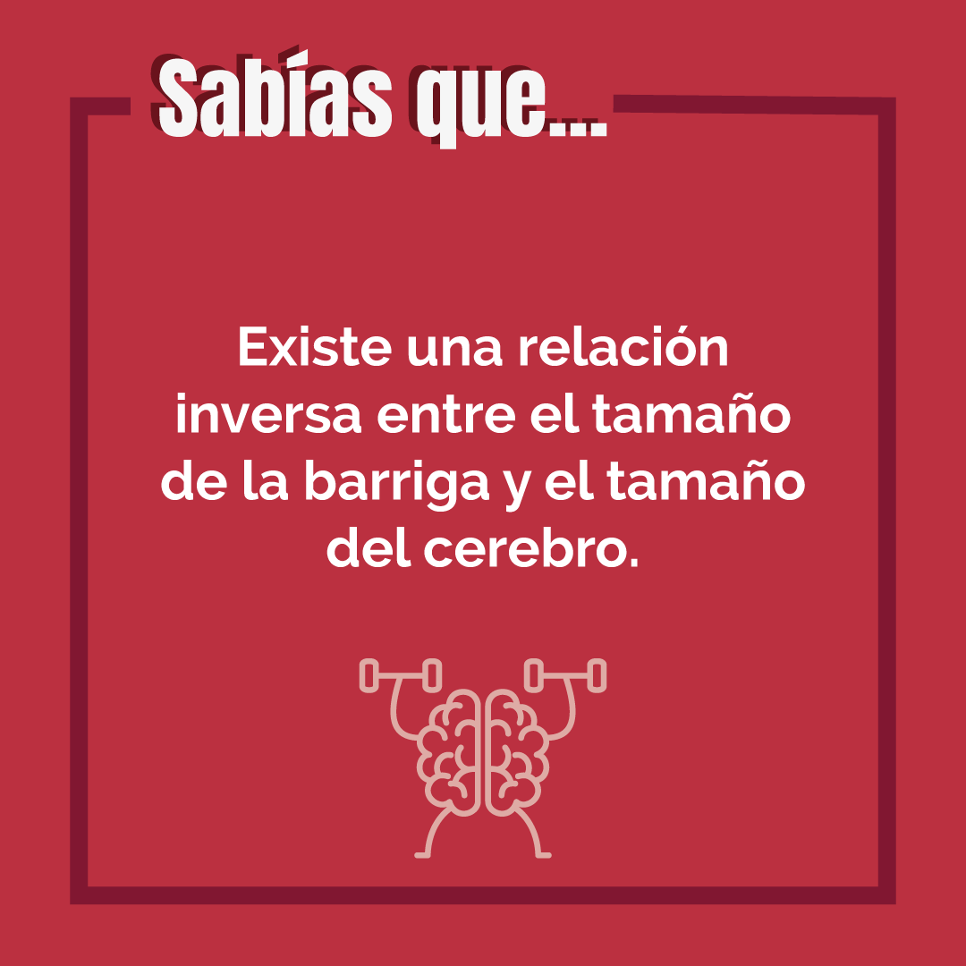 Saludable Mente (edición ampliada y actualizada): Hábitos para optimizar tu cerebro y mejorar tu salud a cualquier edad  (Tapa blanda) 8