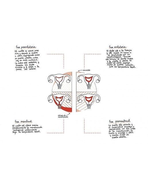 Una nueva manera de menstruar: Conociendo y respetando tu cuerpo y tus necesidades menstruales (Tapa dura) 6