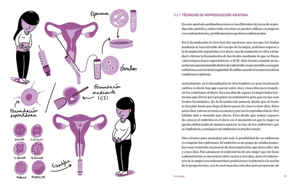 Endometriosis: La guía para entender qué es y cómo cuidarte (Tapa blanda) 3