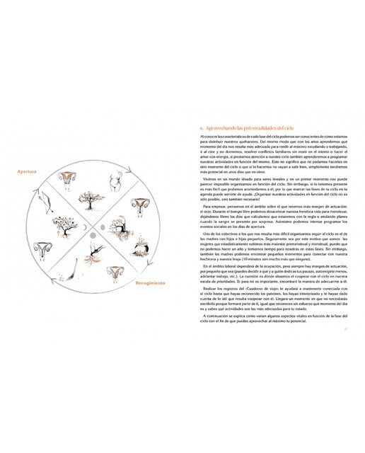 Viaje al ciclo menstrual (Tapa dura) 3