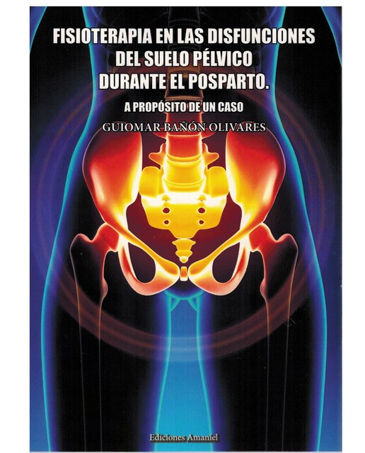 FISIOTERAPIA EN LAS DISFUNCIONES DEL SUELO PÉLVICO DURANTE EL POSPARTO. A PROPÓSITO DE UN CASO 1