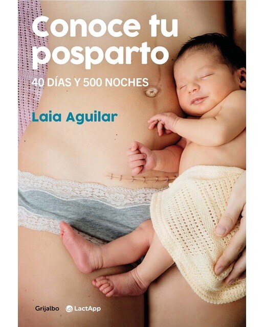 Conoce tu posparto: 40 días y 500 noches (Tapa blanda)
