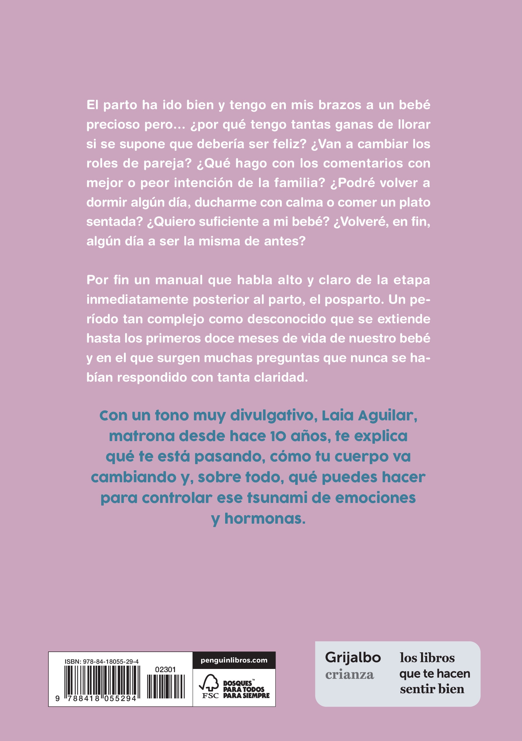 Conoce tu posparto: 40 días y 500 noches (Tapa blanda) 2