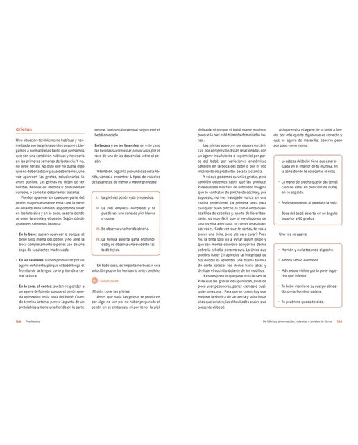 Mucha teta. El manual de lactancia materna: Las respuestas a todas tus preguntas (Tapa blanda) 4