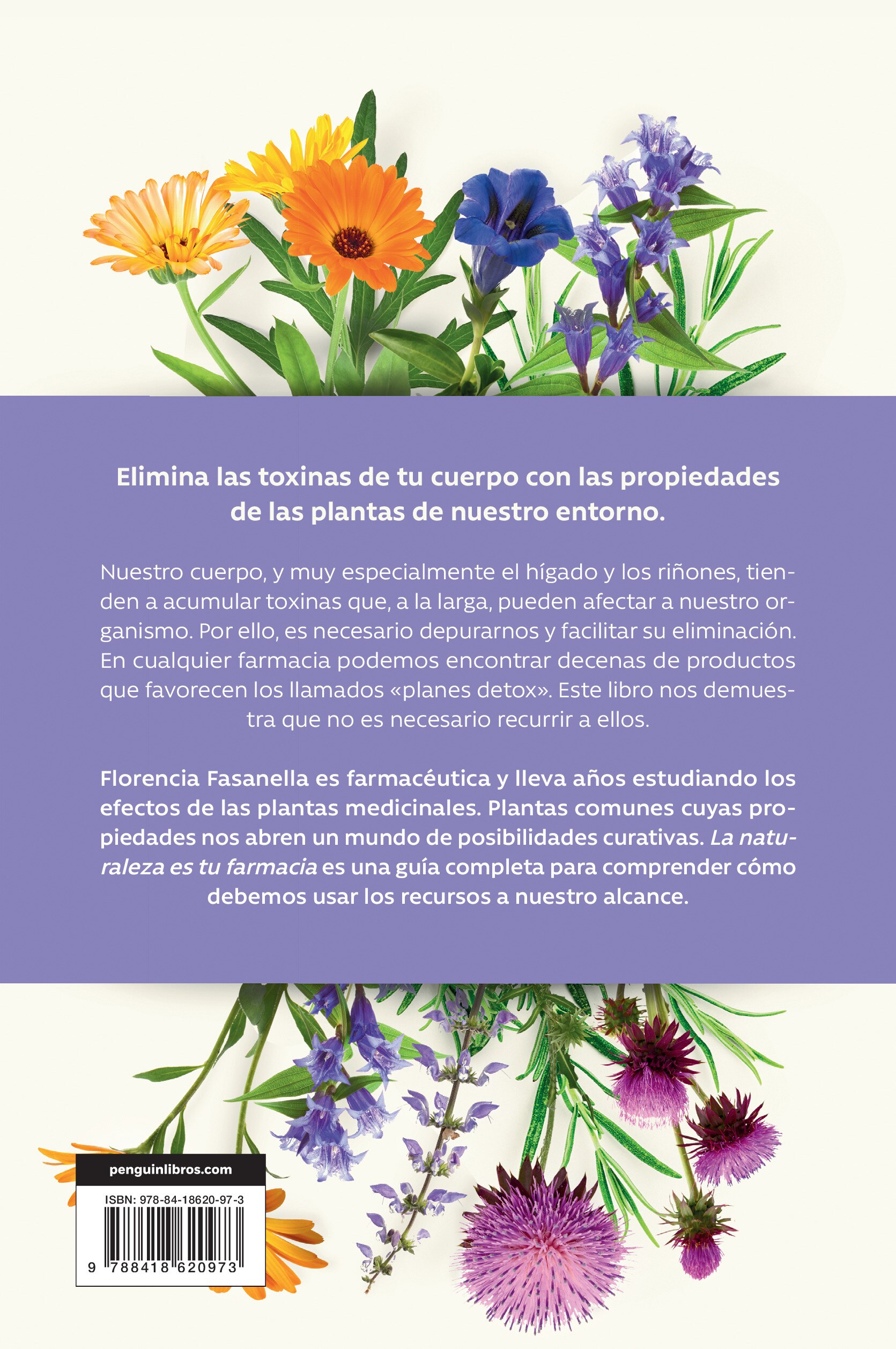 La naturaleza es tu farmacia: La guía para un plan detox con plantas medicinales  (Tapa blanda) 2