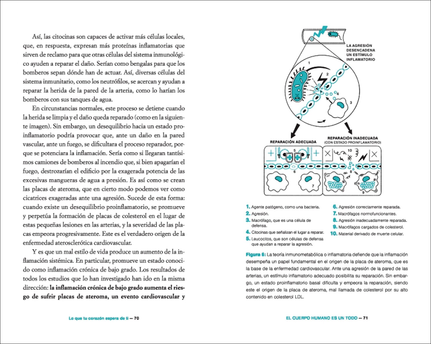 Lo que tu corazón espera de ti: Descubre los 4 pilares para vivir en plena forma con una salud de hierro  (Tapa blanda) 5