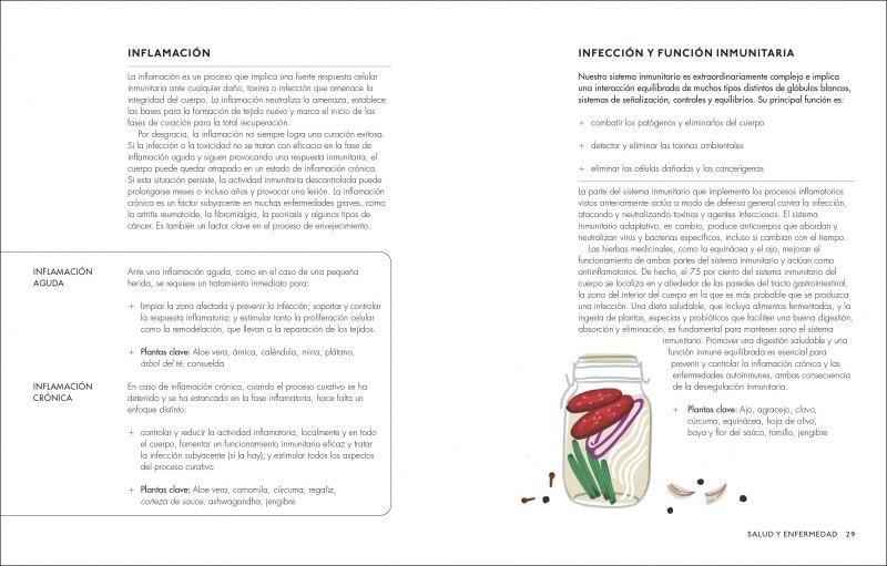 Plantas medicinales: Guía práctica de remedios caseros para cuerpo y mente  (Tapa dura) 4
