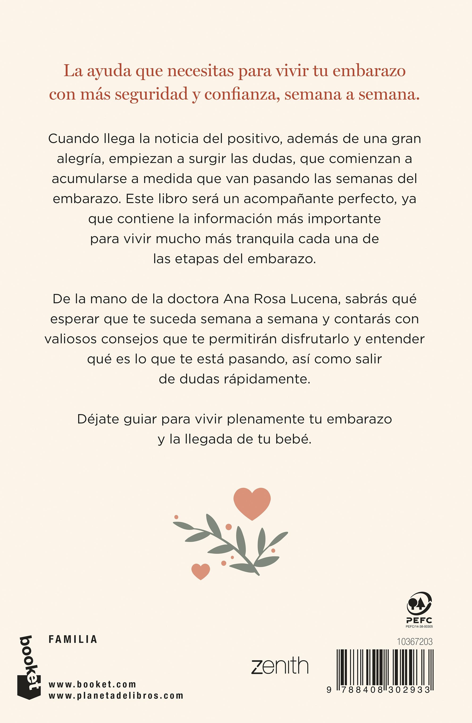 Qué está pasando aquí dentro: Una guía esencial con todo lo que sucede semana a semana del embarazo (Bolso) 2