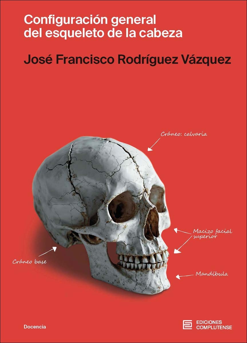 Configuración general del esqueleto de la cabeza 1