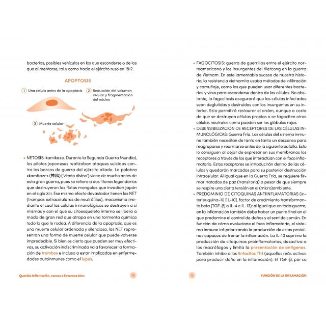 Querida inflamación, vamos a llevarnos bien: Descubre cómo regularla para protegerte y vivir más y mejor (Capa mole) 5