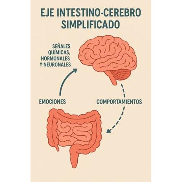 Quiérete bien: Y di adiós a las dietas para siempre (Capa mole com abas) 5