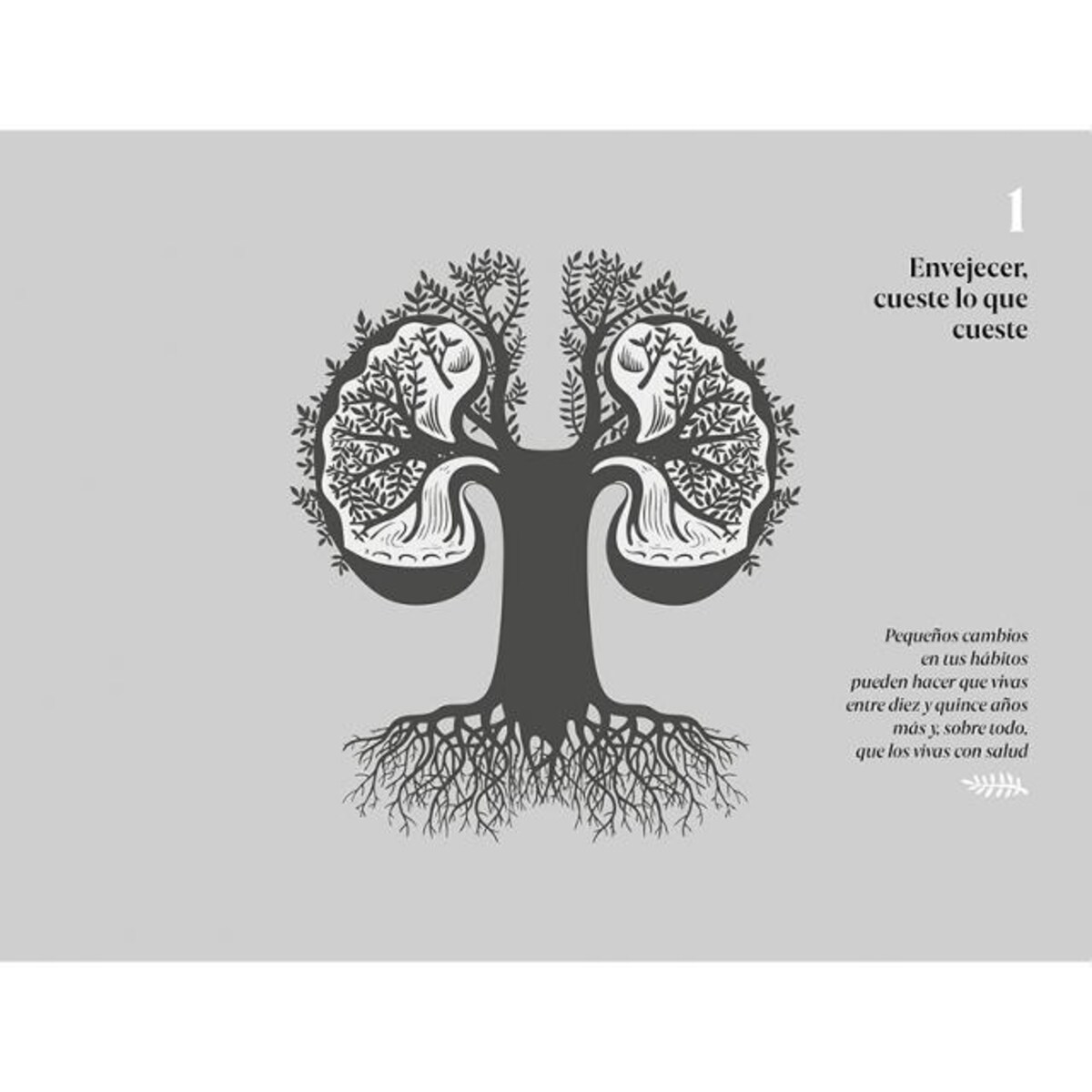 El reto es no envejecer: Activa la proteína klotho y multiplica tus años de vida (Capa mole) 6