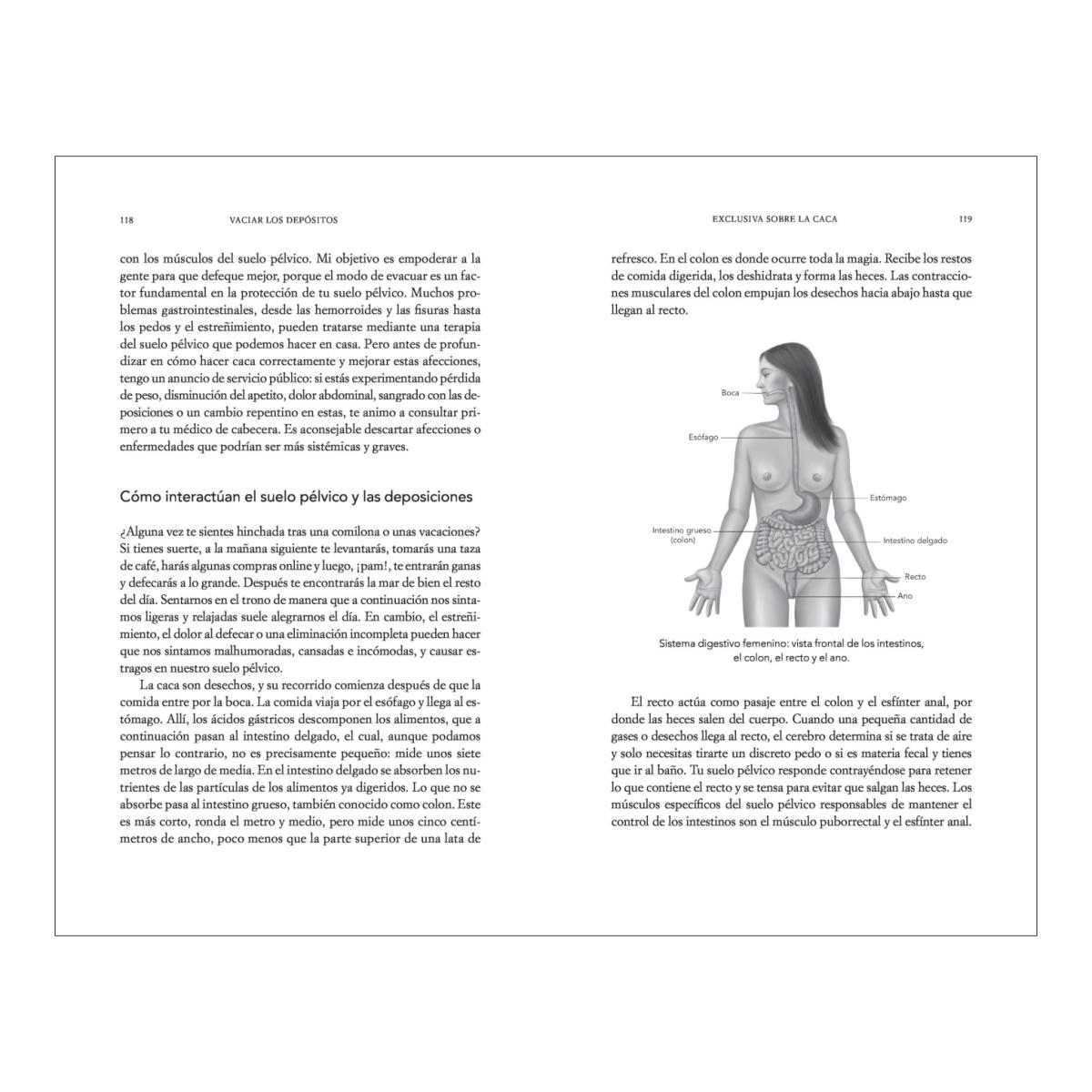 Suelo pélvico: Una guía práctica para cuidar tu salud en cualquier etapa de la vida  (Tapa blanda) 4