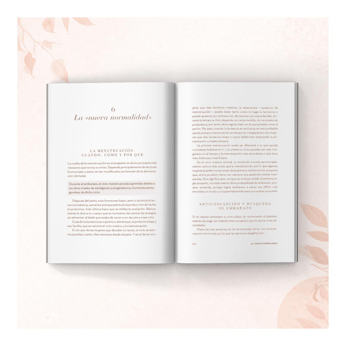 Al otro lado de la piel: Posparto, lactancia y cuidado del bebé (Capa mole com abas) 3