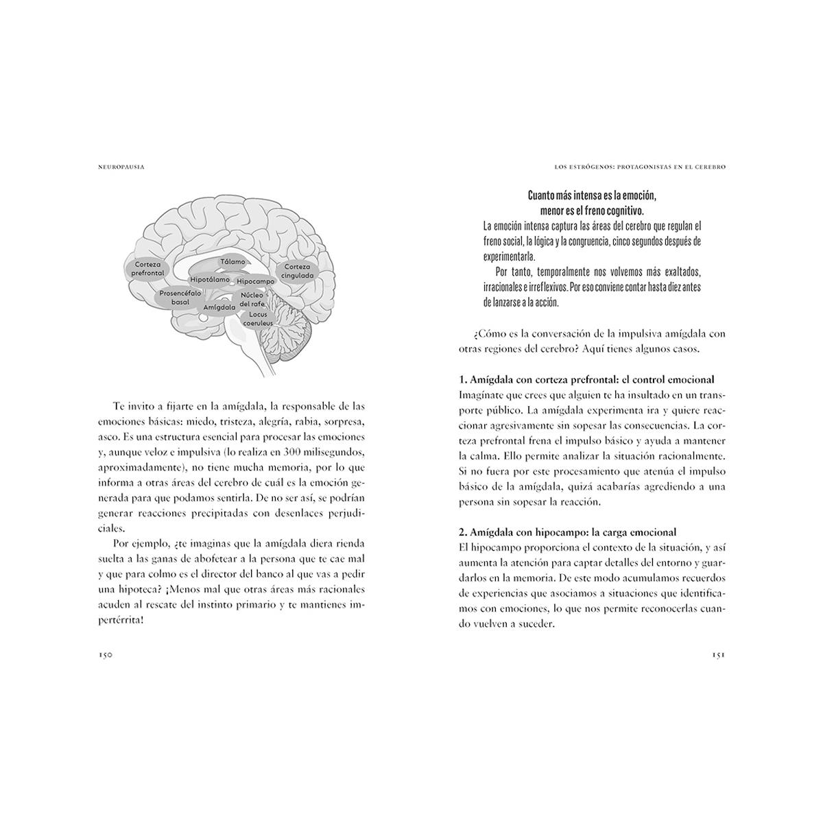 Neuropausia: Descubre la revolución de tu cerebro en la menopausia (Capa mole) 2